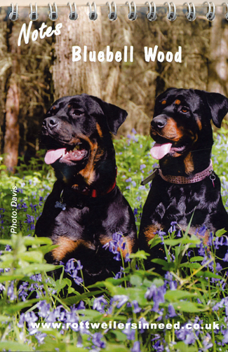 Bluebell Notes